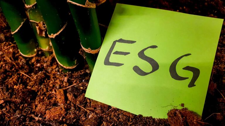 ESG criteria: che cosa sono e perché stanno influenzando economia e finanza